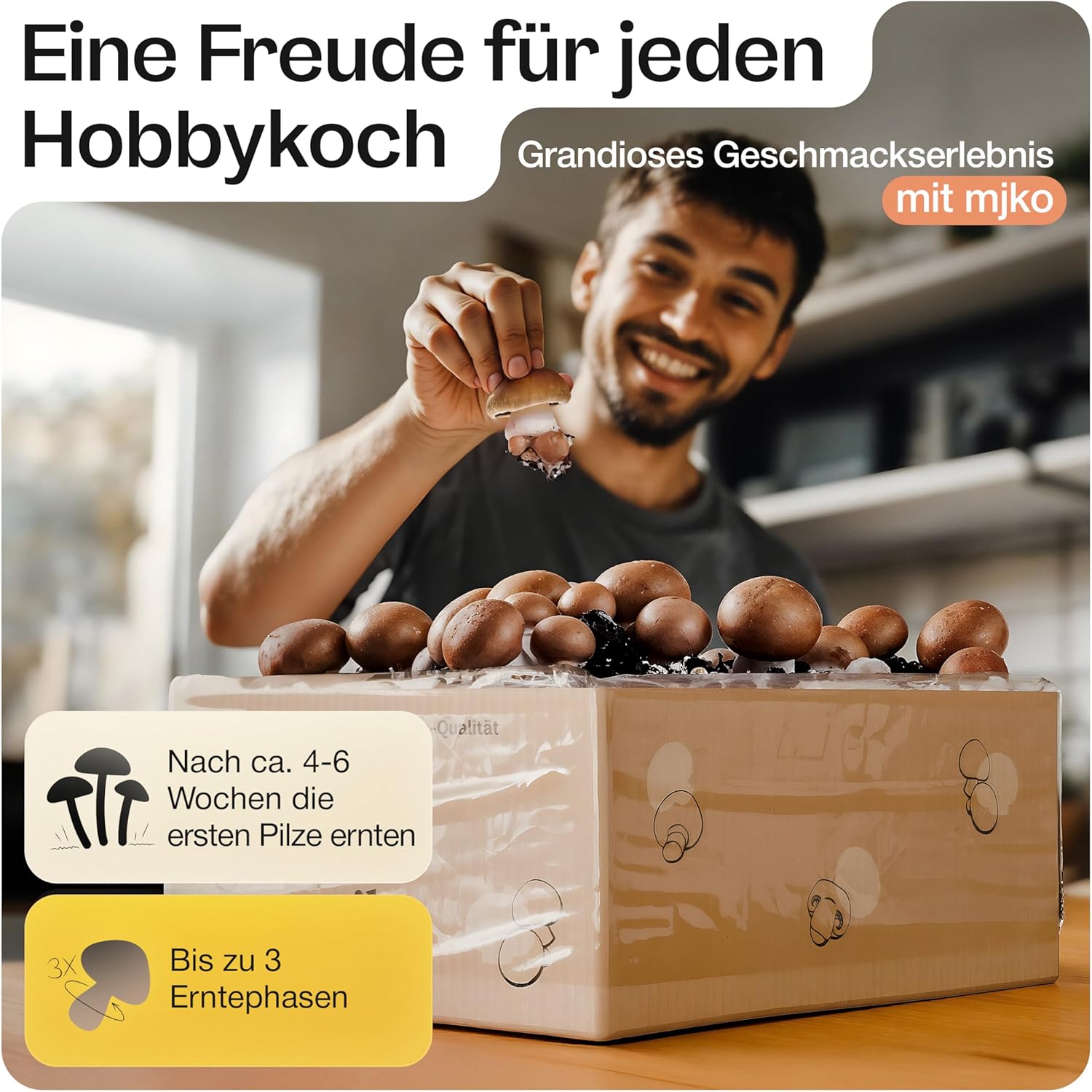Mjko® Bio Pilzbox Champignons – Geschenkidee