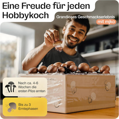 Mjko® Bio Pilzbox Champignons – Geschenkidee