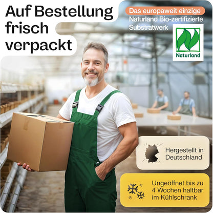 Mjko® Bio Pilzbox Champignons – Geschenkidee