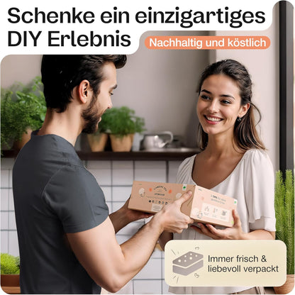 Mjko® Bio Pilzbox Champignons – Geschenkidee