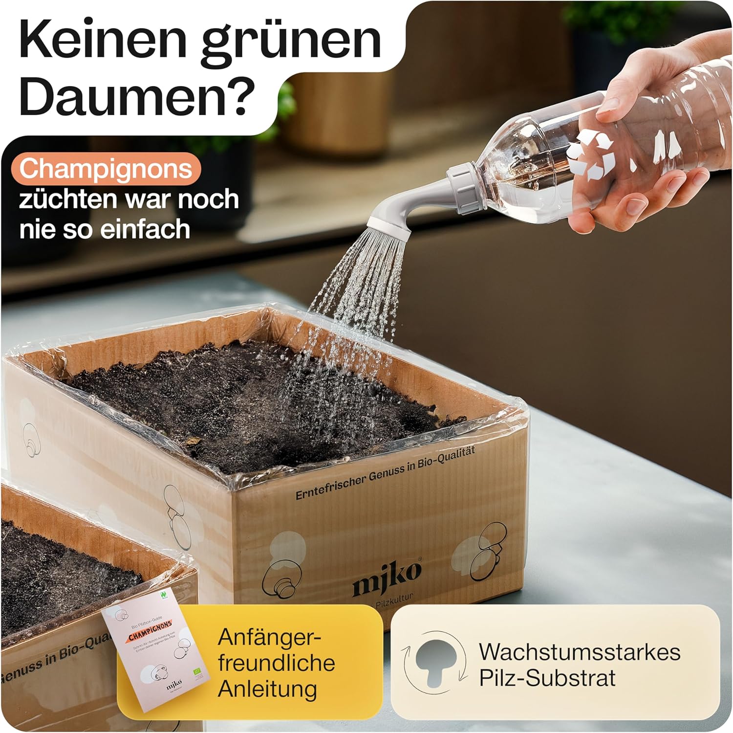 Mjko® Bio Pilzbox Champignons – Geschenkidee
