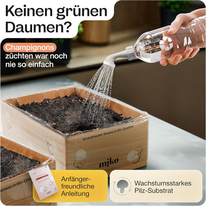 Mjko® Bio Pilzbox Champignons – Geschenkidee