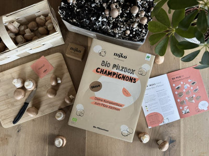 Mjko® Bio Pilzbox Champignons – Geschenkidee