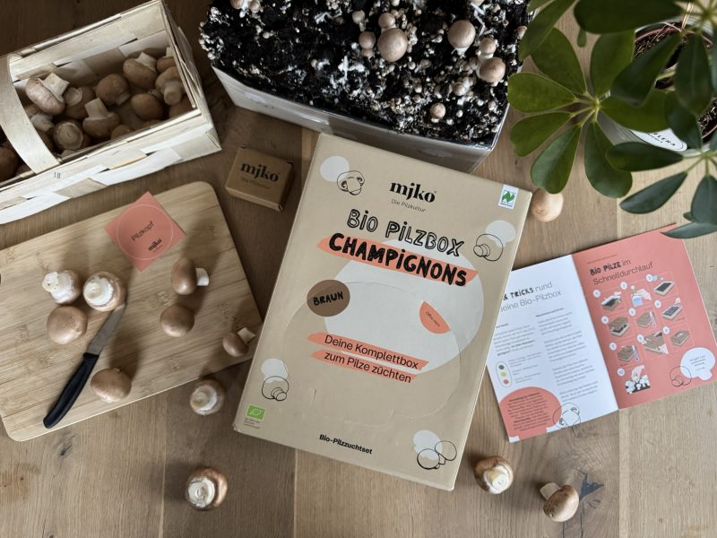 Mjko® Bio Pilzbox Champignons – Geschenkidee