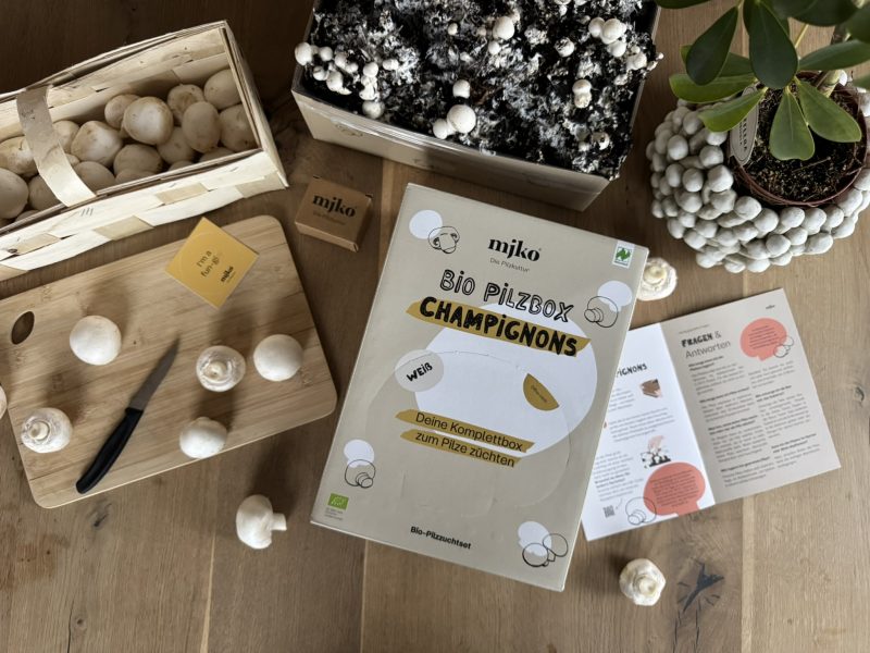Mjko® Bio Pilzbox Champignons – Geschenkidee