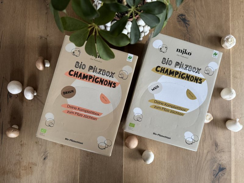 Mjko® Bio Pilzbox Champignons – Geschenkidee